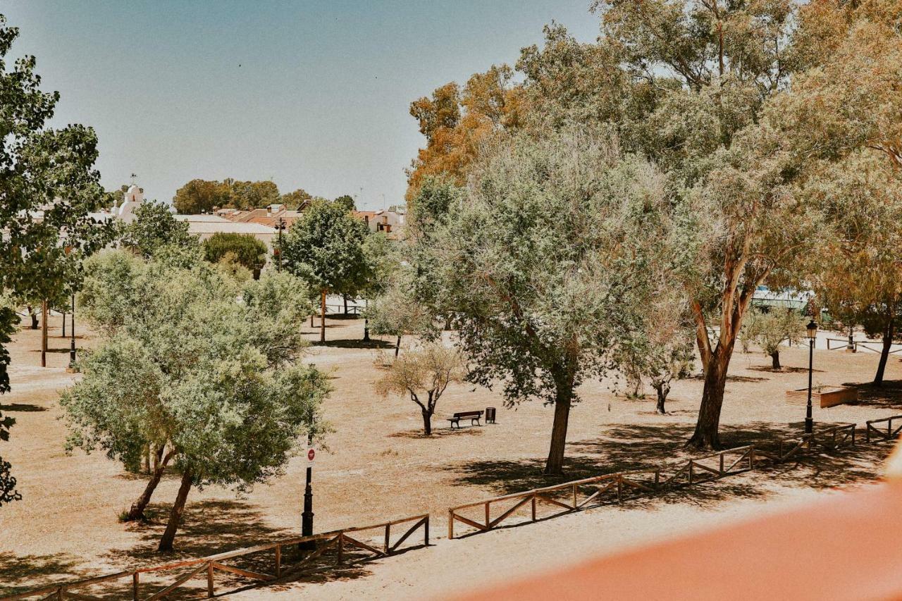 Casa Rural Donana 51 エル・ロシオ エクステリア 写真